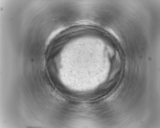 X0000088651358200706151957