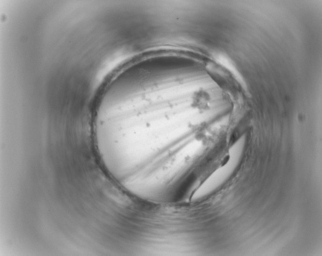 X0000088651360200706151957