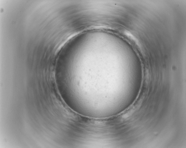 X0000088651361200706151957