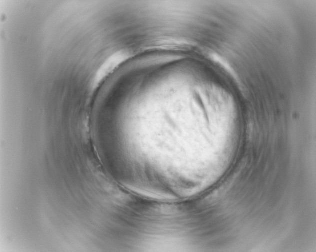 X0000088651362200706151957