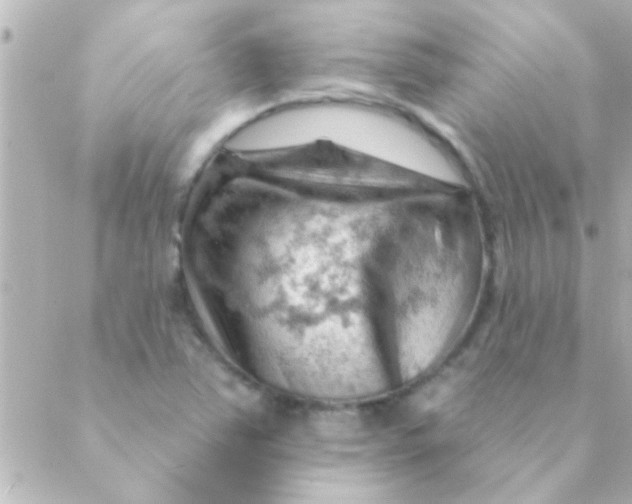 X0000088651363200706151957