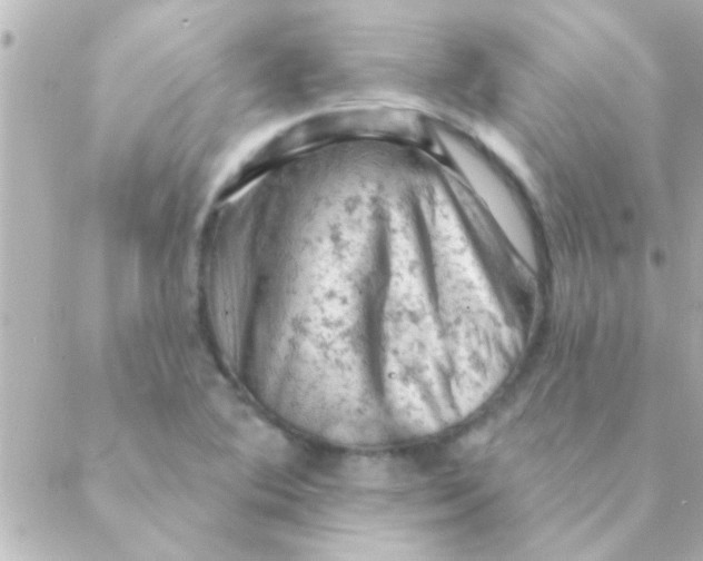 X0000088651364200706151957