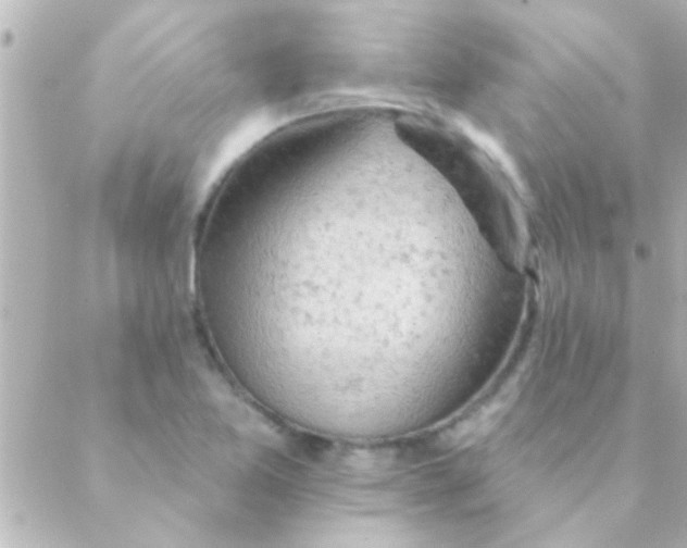 X0000088651365200706151957