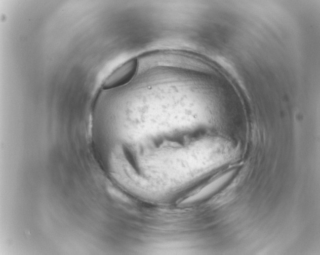 X0000088651366200706151957