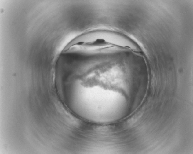 X0000088651367200706151957