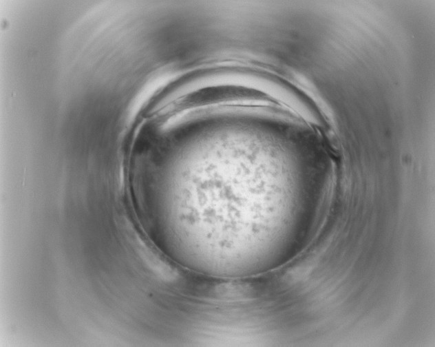 X0000088651368200706151957