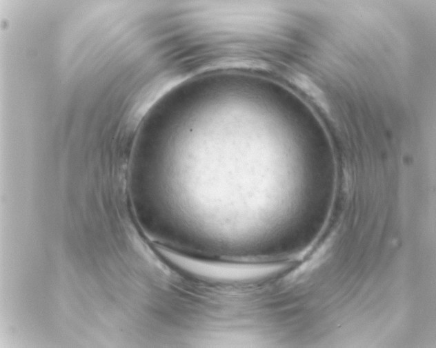 X0000088651369200706151957