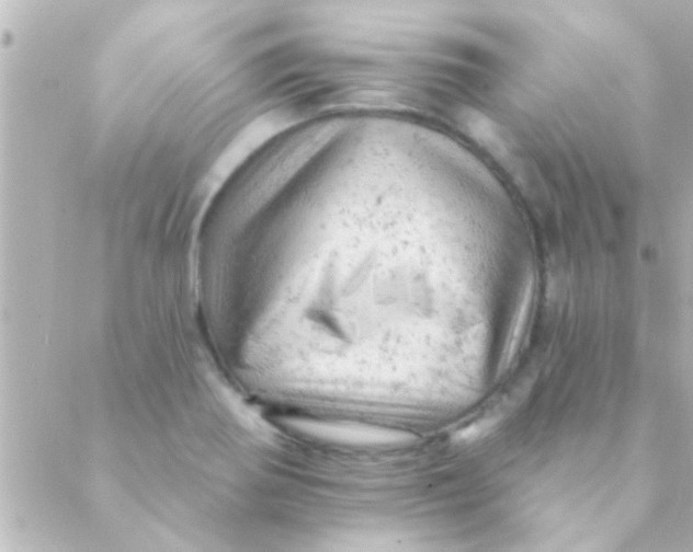 X0000088651370200706151957