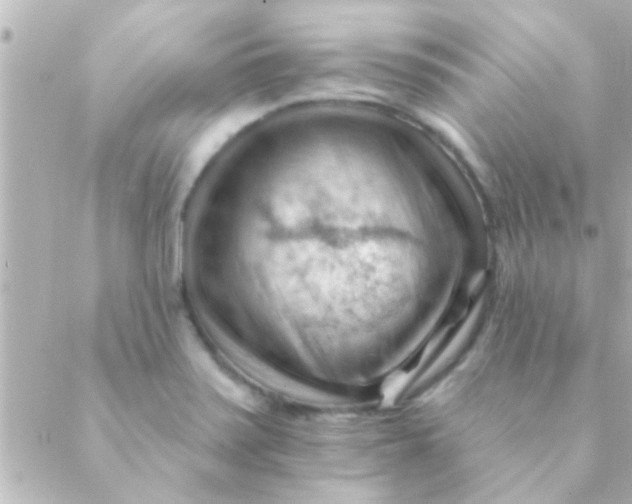 X0000088651371200706151957