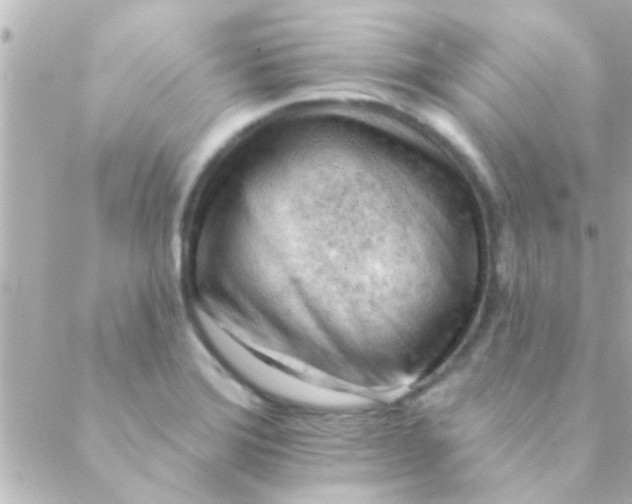 X0000088651372200706151957