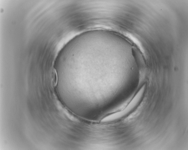 X0000088651373200706151957