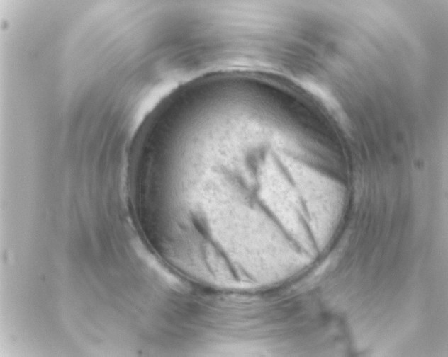 X0000088651374200706151957