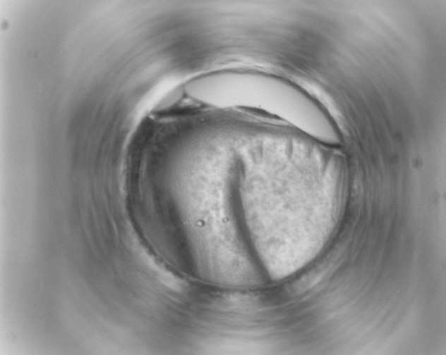 X0000088651375200706151957