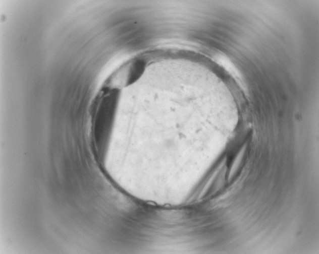 X0000088651376200706151957