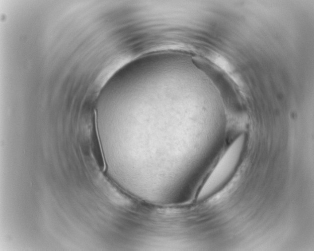 X0000088651377200706151957