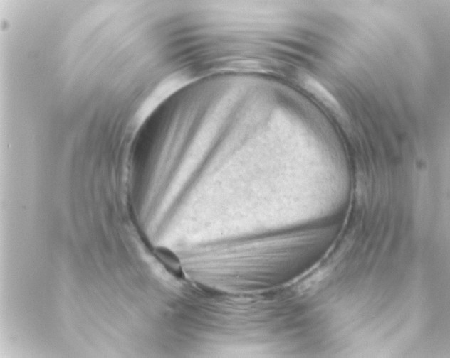 X0000088651378200706151957