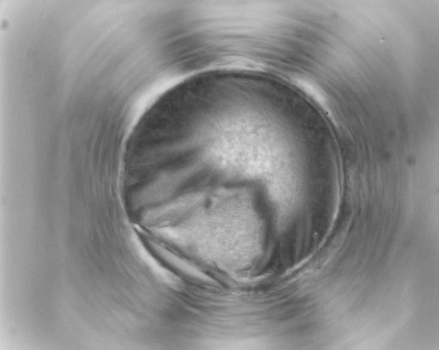 X0000088651379200706151957