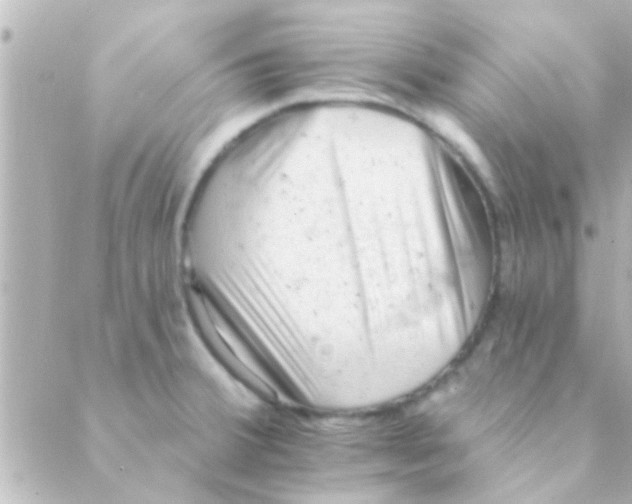 X0000088651380200706151957