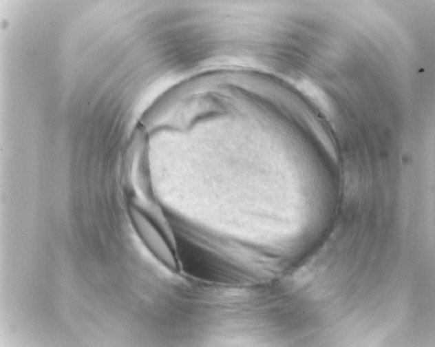 X0000088651382200706151956