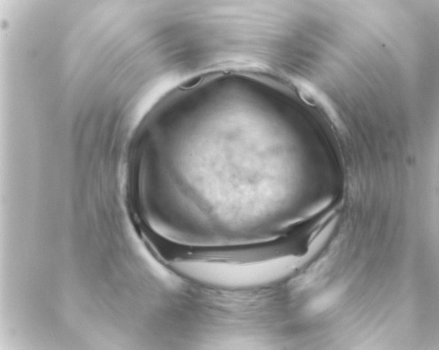 X0000088651383200706151956