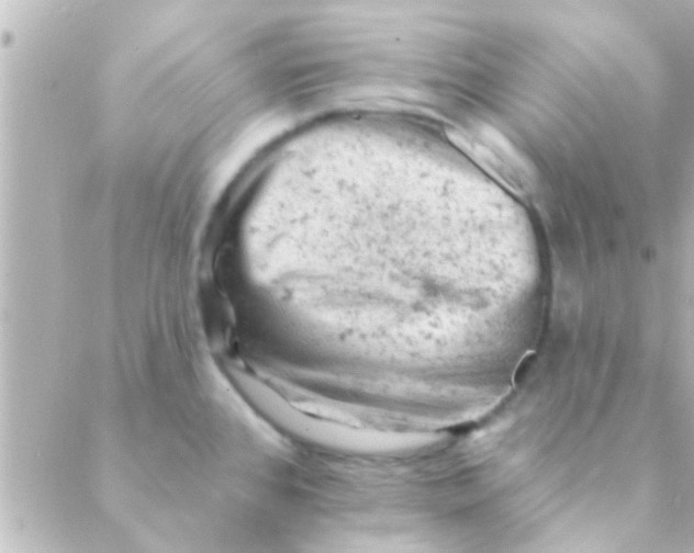 X0000088651384200706151956