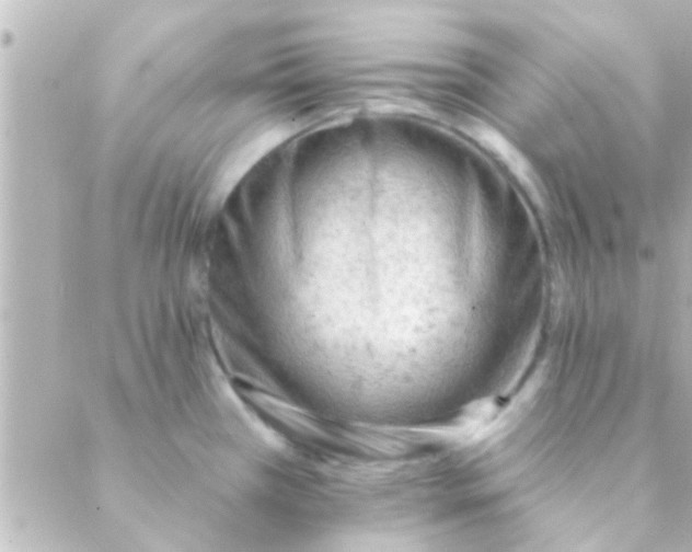 X0000088651385200706151956