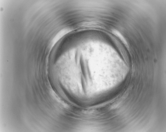 X0000088651386200706151956