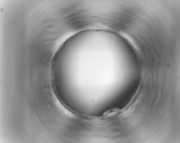 X0000088651387200706151956