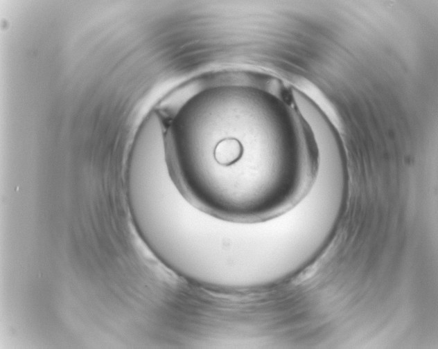 X0000088651388200706151956