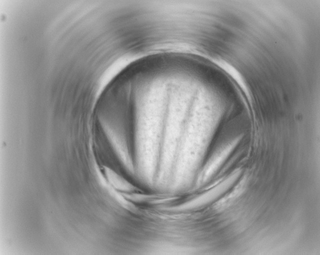 X0000088651389200706151956