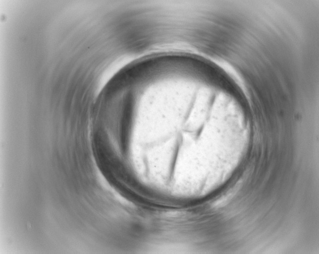 X0000088651390200706151956