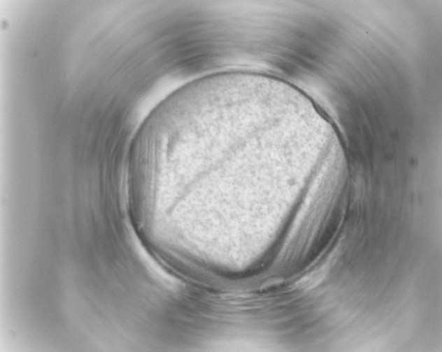 X0000088651391200706151956