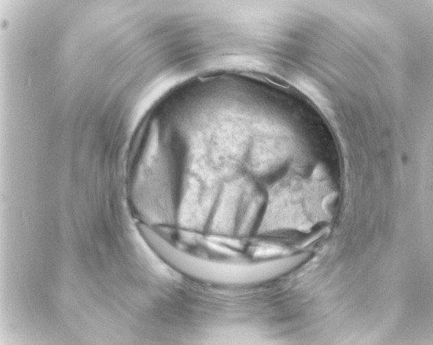 X0000088651392200706151956