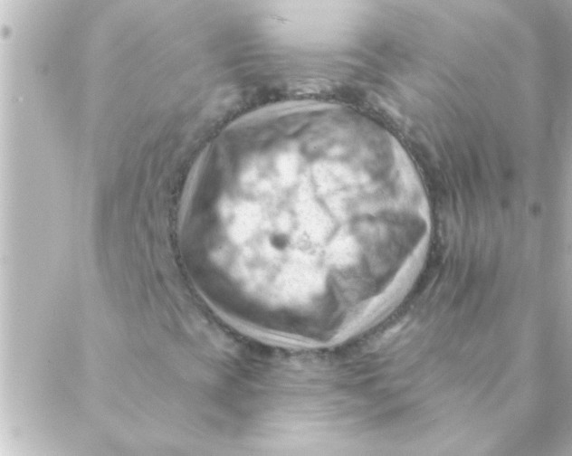 X0000088651393200706151956