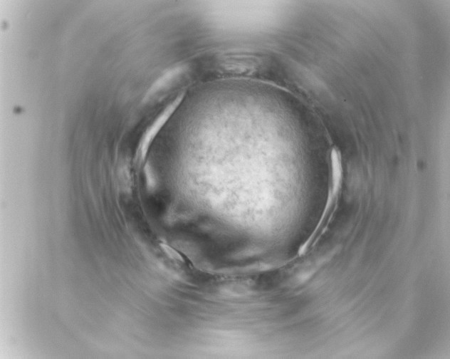 X0000088651394200706151956