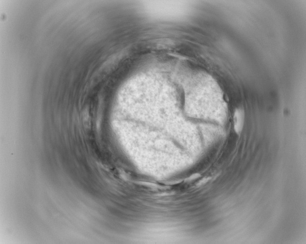 X0000088651395200706151956