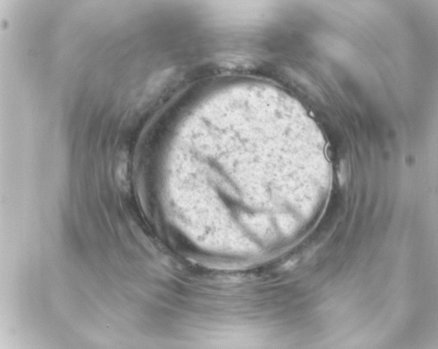 X0000088651396200706151956