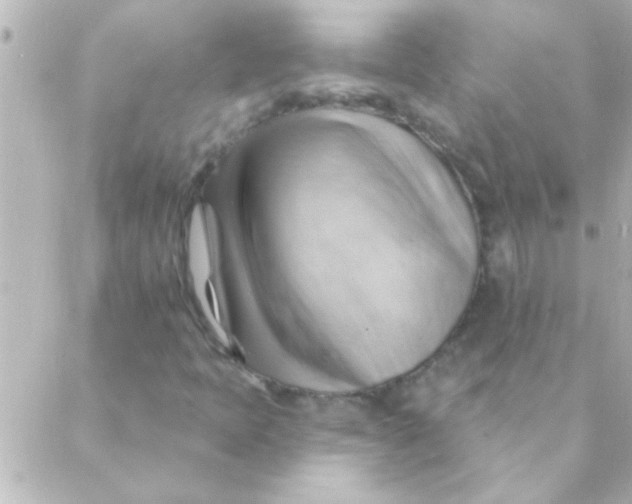 X0000088651397200706151956