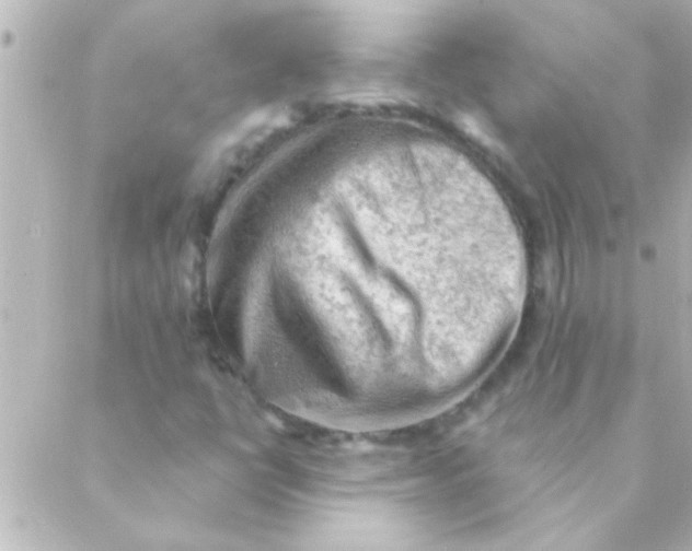 X0000088651398200706151956