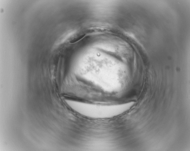 X0000088651399200706151956