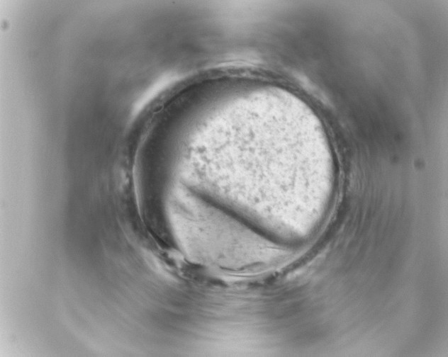 X0000088651400200706151956