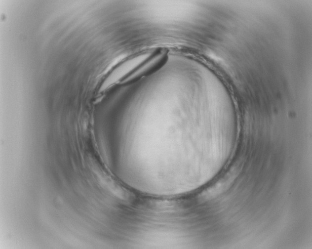 X0000088651401200706151956