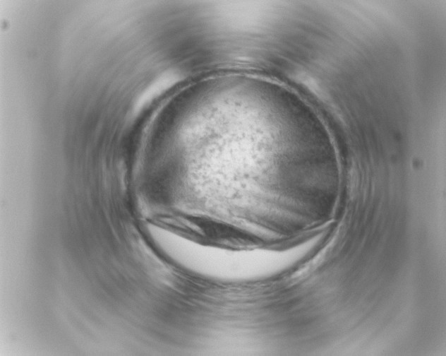 X0000088651402200706151956