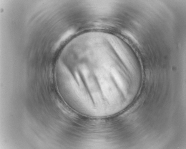 X0000088651403200706151956