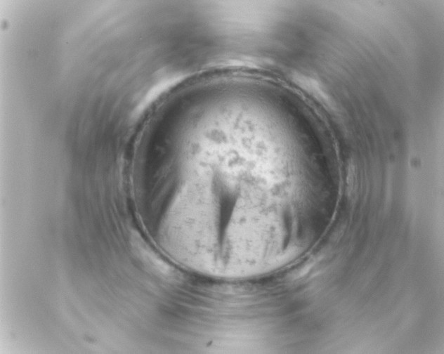 X0000088651404200706151956