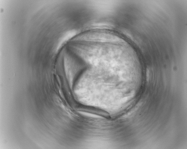 X0000088651405200706151956