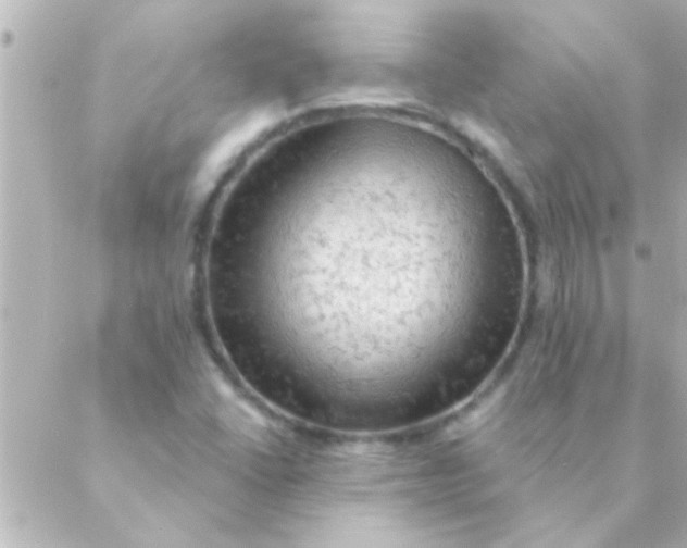 X0000088651406200706151956