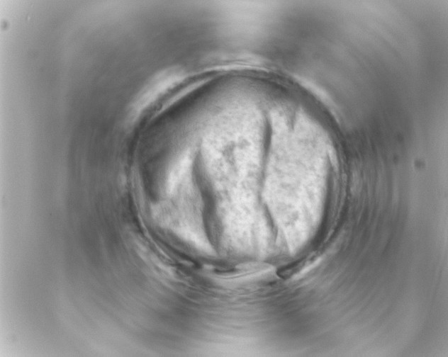 X0000088651407200706151956