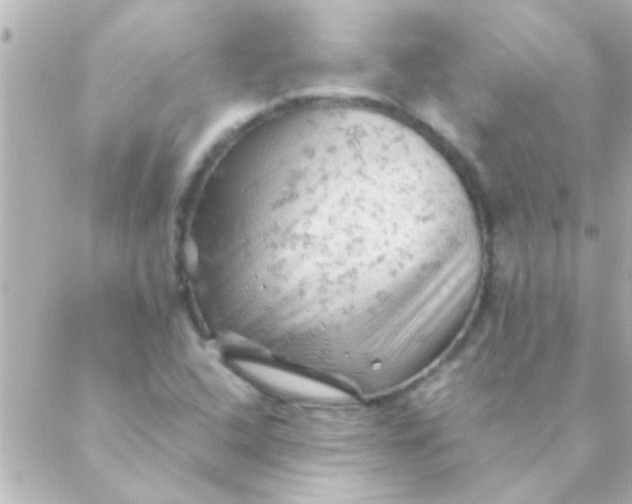 X0000088651408200706151956