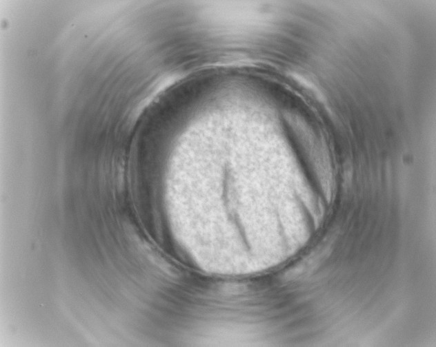 X0000088651409200706151956